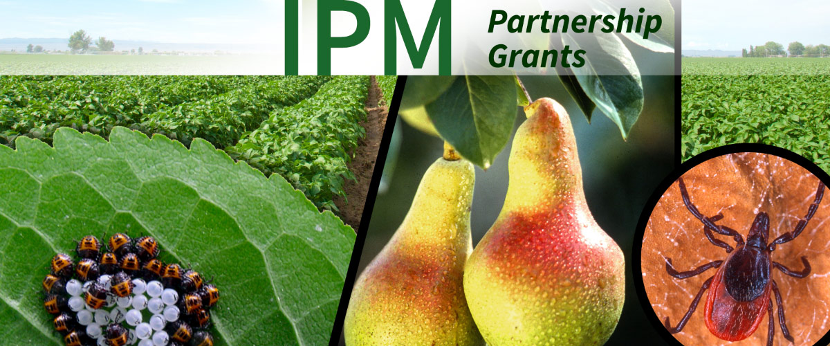 IPM Partnership Grants Program
