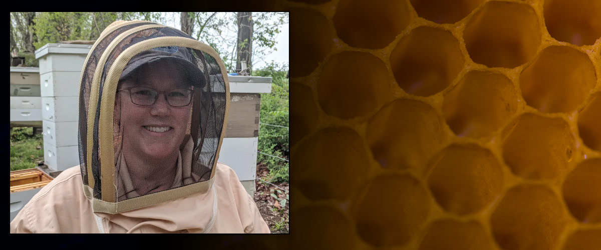 The Use of IPM in Beekeeping to Control Parasitic Varroa Mites