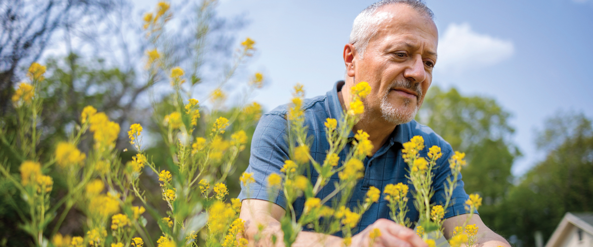 Unlikely Coincidence Blooms as Classic Weed Guide Gets Updated