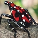 Surviving Spotted Lanternfly