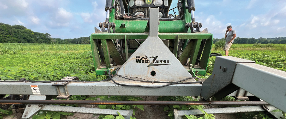 Zap On Over to GROW's New Weed Electrocution Page