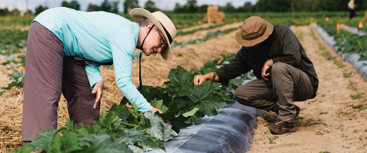 Working at the Intersection of IPM and Organic