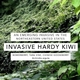Invasive Hardy Kiwi: An Emerging Invasive in the Northeastern United States