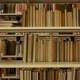 Working with Museums, Libraries, and Archives to Use IPM to Prevent and Combat Infestations