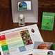 Stink Bug Identification Kits Are Available