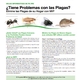 IPM Fact Sheets Translated into Spanish