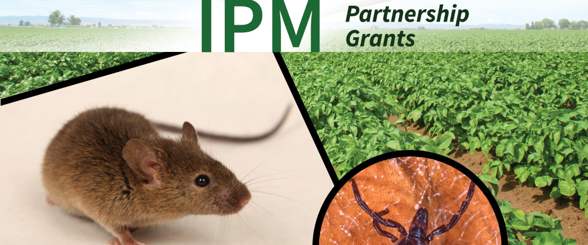 Northeastern IPM Center Announces Recipients of 2025 Partnership Grants